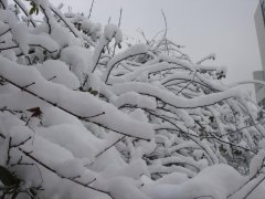 各fba散貨海運(yùn)拼箱提醒廣東省氣象