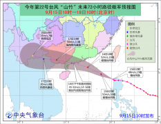 國際海運,散貨拼箱防御超強臺風“