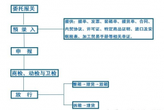 外貿(mào)新手必知的報關(guān)流程