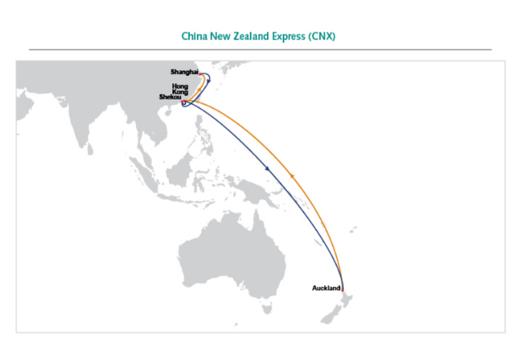 航線快訊！11月中旬，東方海外將新增一條新西蘭直航服務CNX